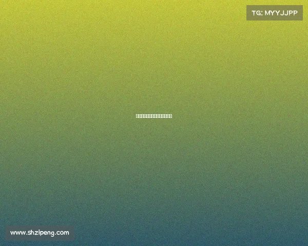 澳门大奖赛事故—澳门选手夺冠